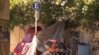 el mides no puede limpiar la ciudad, dijo sciarra y aseguro que la intendencia no cumple con la limpieza
