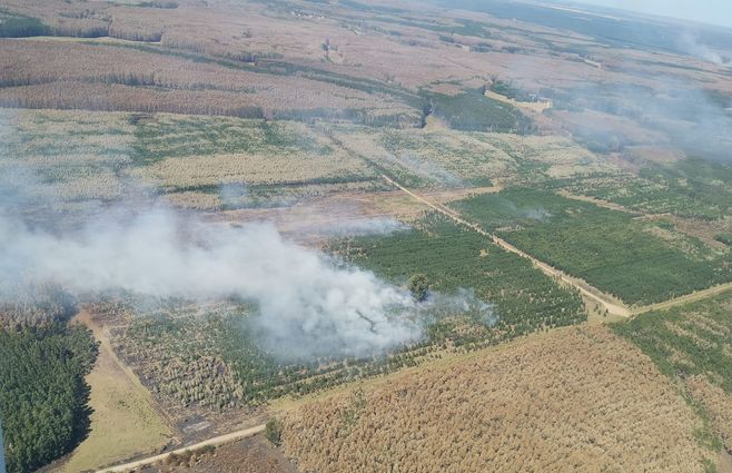 Los nuevos focos de incendio en la zona de Algorta, Río Negro.