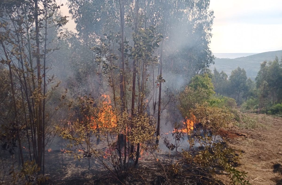 Foto: Ministerio del Interior.