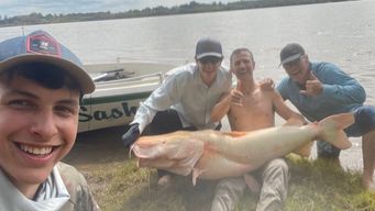 sacaron un surubi albino en el rio uruguay: a lo primero dudamos si era un pescado o una piedra, dijo uno de los pescadores