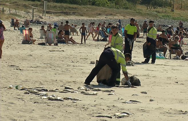 mortandad-de-peces-en-el-cerro-de-montevideo