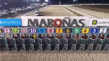 Subrayado | TURF NUEVO