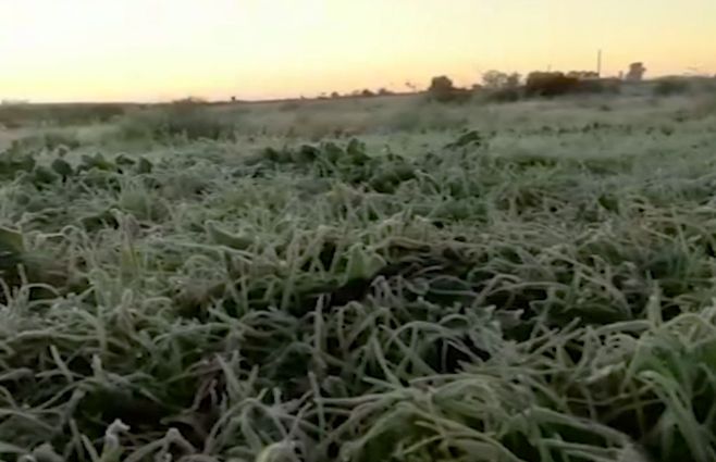 Campo con heladas. Meteorología.