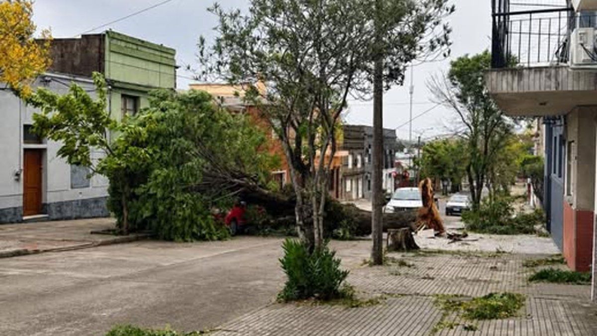 El viento causó destrozos en Rivera, con voladura de techos y caída de ...