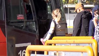 se reducen los servicios de transporte suburbano durante las fiestas; exhortan a consultar a las empresas