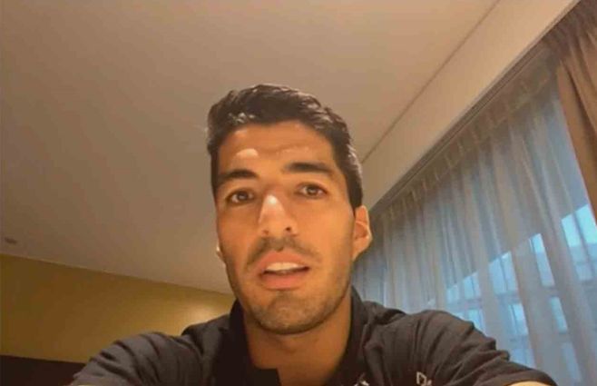 suarez-blanca-ho.jpg