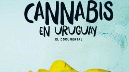 cannabis en uruguay
