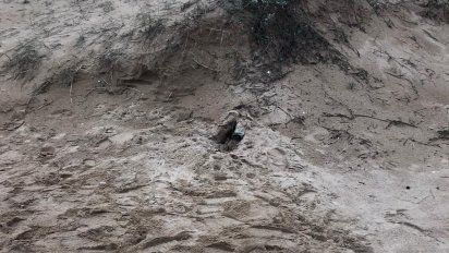 fue identificado el cuerpo hallado semienterrado en punta negra