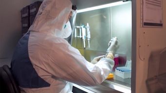 coronavirus: 6.832 casos nuevos, 56 en cti y hay 69.167 activos