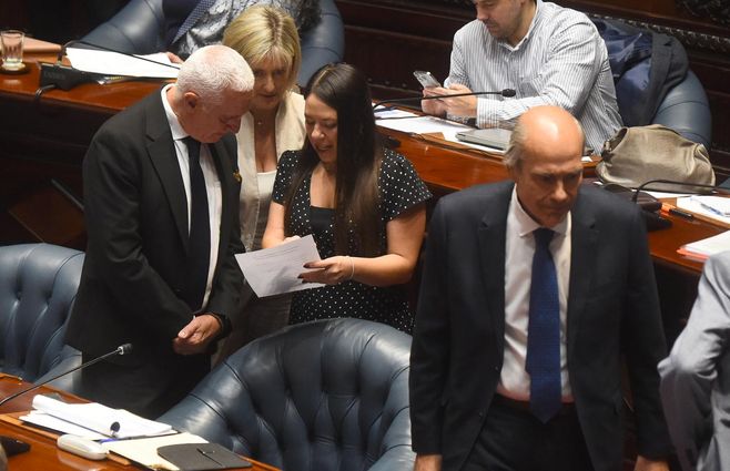 Carlos Negro en Comisión Permanente. Foto: Foco UY