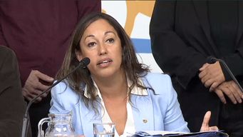 cardona reafirmo numeros de ancap que manejo en conferencia con orsi y aseguro hubo consenso en diputados