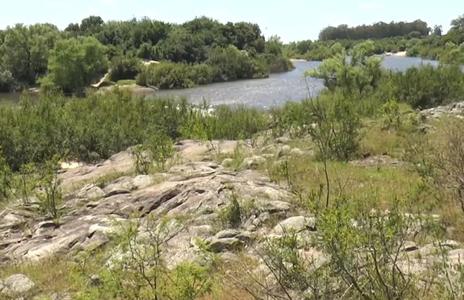 durazno-caza-jabalí-herido