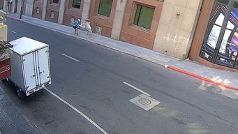 intento robarle la cartera a una mujer, quedo registrado y fue detenido