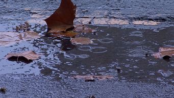meteorologia preve comienzo de semana con lluvias y tormentas