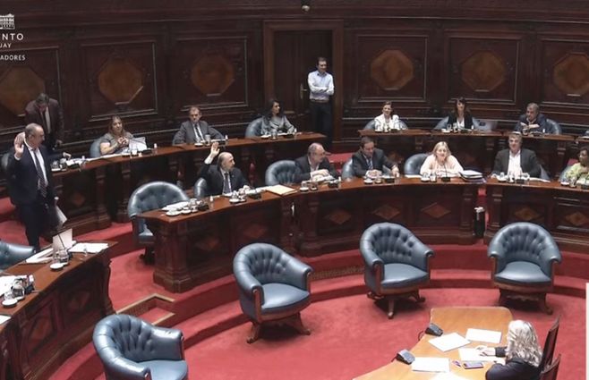 Senado-asunto-político-marset.jpg