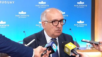 domenech dijo que preocupan homicidios pero que no hay soluciones inmediatas