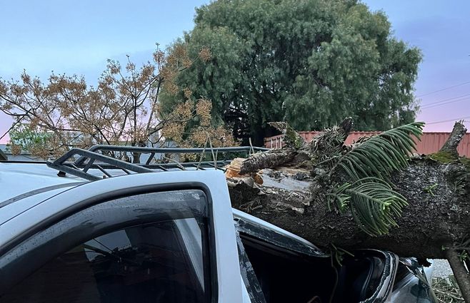 WhatsApp Image 2025-09-27 at 17.40.33