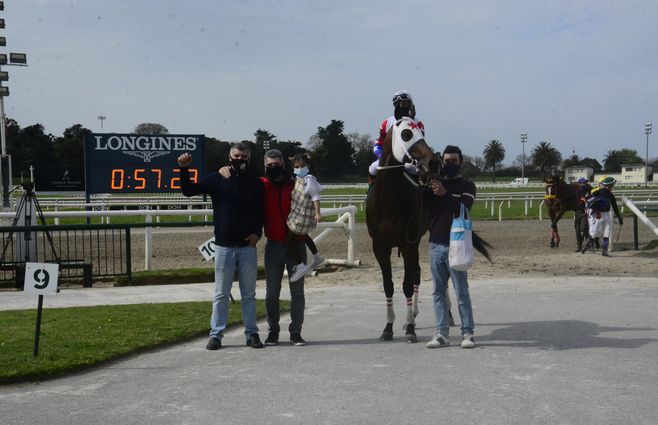 socrates turf (3).jpg