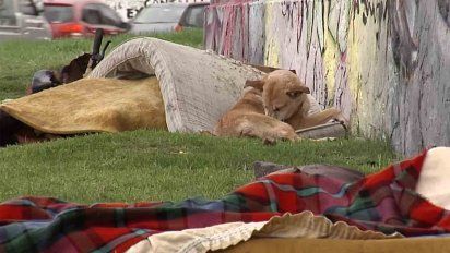 abriran un refugio para personas en situacion de calle con animales