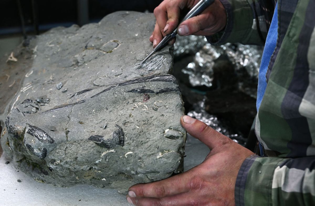 Foto: AFP. Foto: AFP.