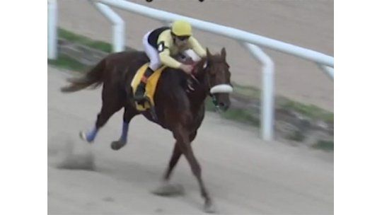 Turf en Las Piedras: contundente triunfo de Quantum