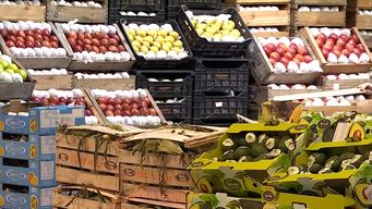 frutas y verduras de estacion: como viene la cosecha y cuando bajan los precios