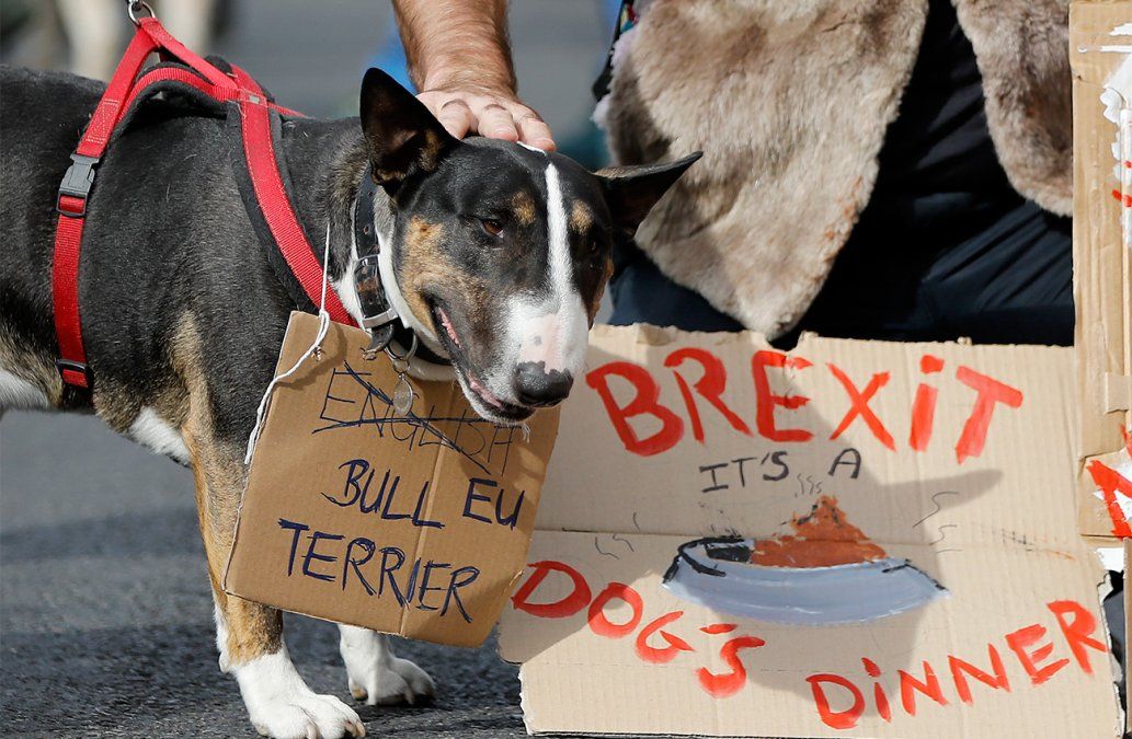 Miles de perros y sus dueños participan en la marcha anti Brexit en el centro de Londres.