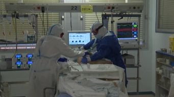 cientificos advierten sobre un nuevo virus en china: la variante esta a un pequeno paso de una nueva pandemia