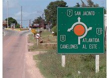 Hombre mató a martillazos y patadas a un perro “por ladrar mucho