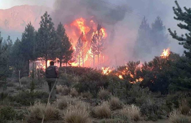 patagonia-argentina-fuego-incendio.jpg
