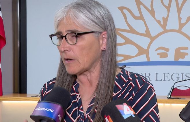 lucía-etchverry-mtop-parlamento