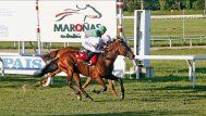 Turf uruguayo.&nbsp;