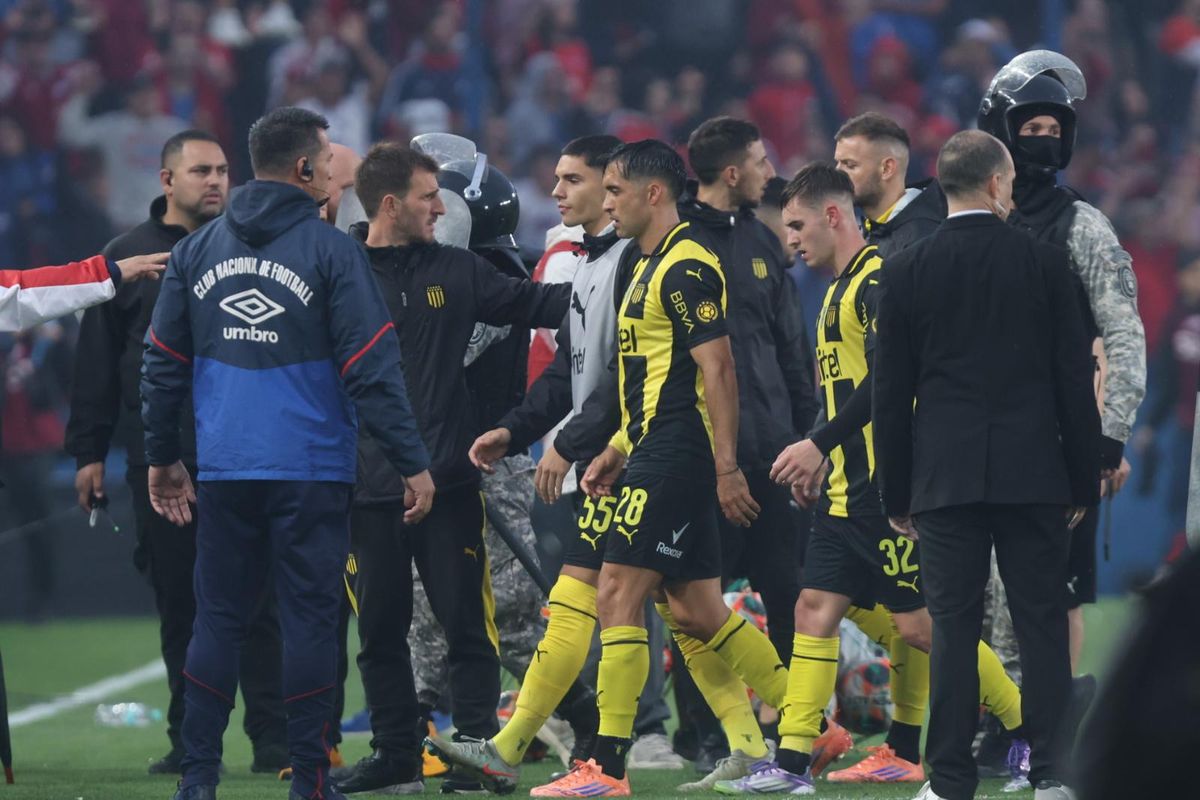 WhatsApp Image 2025-11-30 at 19.53.32