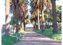 IM definió que condenados por ley de faltas barrerán plazas