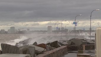 Nubel Cisneros anunció un ciclón extratropical: Es grave porque estamos con temperaturas elevadas y alto índice de humedad