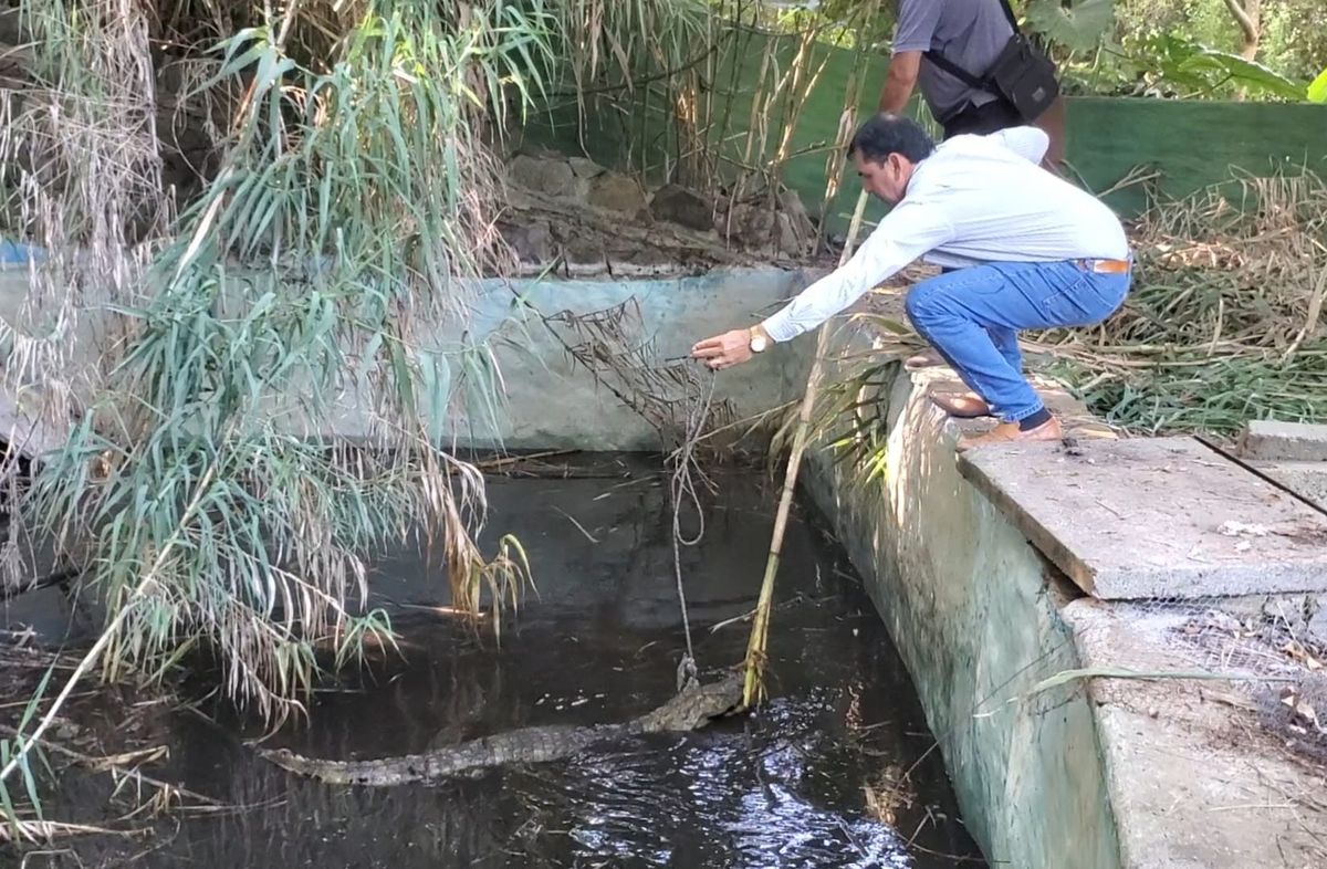 Foto cedida a Subrayado. Foto cedida a Subrayado.