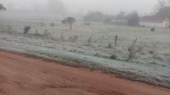 Nubel Cisneros anunció la llegada de la primera ola de frío polar con máxima de 8° y térmicas debajo de 0° Nubel Cisneros anunció la llegada de la primera ola de frío polar con máxima de 8° y térmicas debajo de 0°