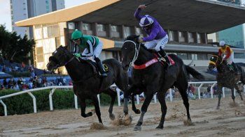 Subrayado | MICRO TURF 26 D OCT