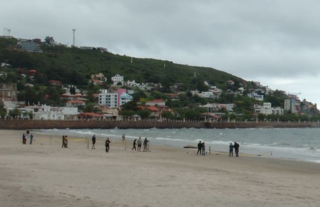 playa-piria-elefante-foto