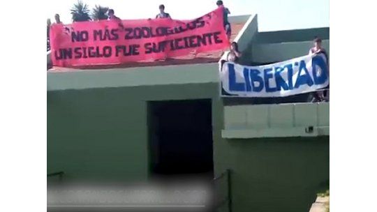 Polémica por manifestación anti zoológico realizada este domingo