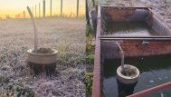 Frío polar en Fray Bentos, con agua congelada en el campo y heladas. Foto: enviada al corresponsal de Subrayado Daniel Rojas.