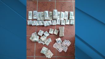 incautan 416.000 dolares, armas y autos de alta gama tras allanamiento en maldonado