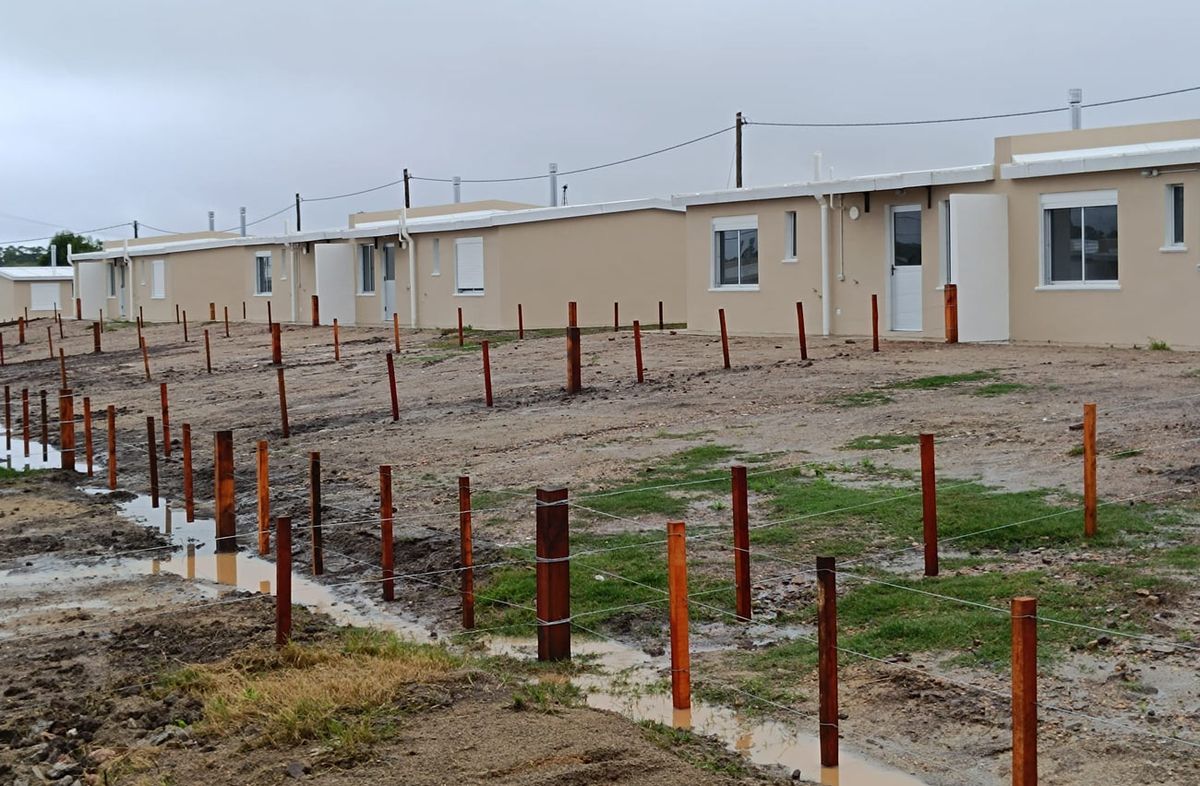 Foto: Emilio Rodríguez, Subrayado. Foto: Emilio Rodríguez, Subrayado.