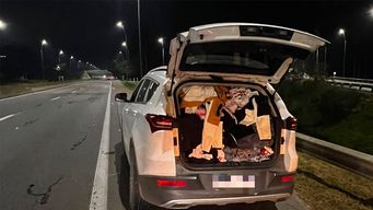 Aduanas incautó mercadería de contrabando por más de $2 millones en dos procedimientos en la zona sur Aduanas incautó mercadería de contrabando por más de $2 millones en dos procedimientos en la zona sur