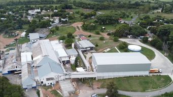 frigorifico casablanca analiza suspender temporalmente faena de vacunos debido a aumento del precio del ganado