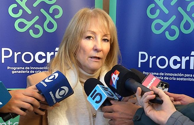 Cosse-julio-sobre-frío.jpg