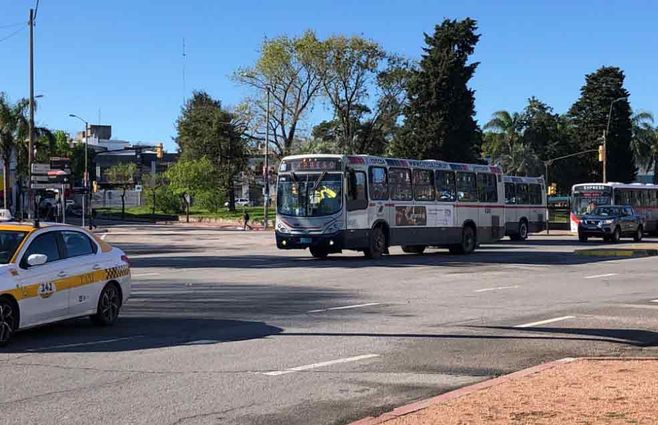 CURCSA-EXPRESO.jpg