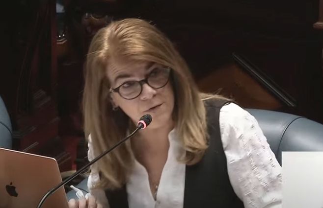 Silvia-Nane-senado-interpelación-agosto-15.jpg