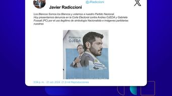 diputado blanco denuncio a ojeda y fossati a la corte electoral por utilizar simbologia del partido nacional