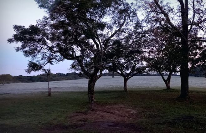 Frío-helada-ola-de-frío.jpg